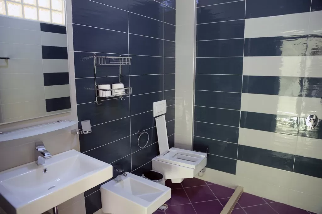 Picasso 7 - STD DBL SV Blc 4.jpg